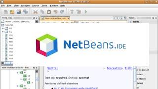 Java Hello World for Beginner with NetBeans IDE