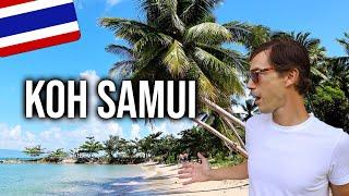 Koh Samui ESSENTIAL guide for your 2025 travel