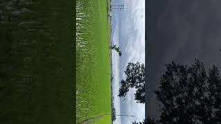 Talakadu  #shorts #travel #talakadu