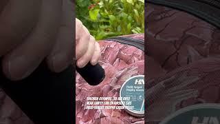 Theoben Olympus Air Rifle v Can
