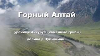 Горный Алтай. Каменные грибы (урочище Аккурум), р.Чулышман