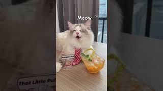 Fruity Drink | That Little Puff (April 21)