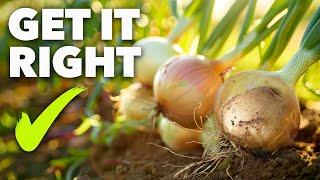 Onion Growing Masterclass: The Ultimate Guide to Perfect Bulbs