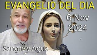 Evangelio Del Dia Hoy - Miercoles 6 Noviembre 2024- Sangre y Agua