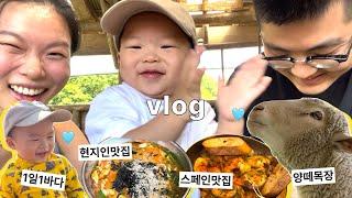 16개월 아기와 여름 휴가ㅣ강릉 2박3일ㅣ1일1바다ㅣ물놀이ㅣ양떼목장ㅣ맛집리스트ㅣ지출 정리
