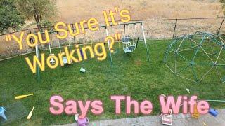 How To Tell When Liquid Thatch Removal Is Working In Your Lawn