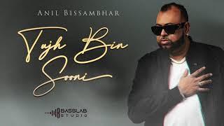 Anil Bissambhar | Tujh Bin Sooni | Official Audio 2024