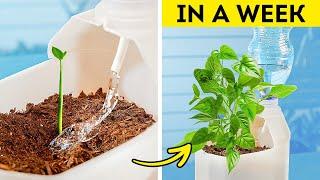 Gardening Hacks: 101 Genius Ideas for Plant Lovers ️