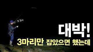 3마리만 잡았으면 하는 마음으로 낚시 갔는데 대박!