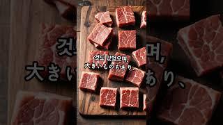 켄터키 하늘, 고기가 비처럼?! #4분33초 #history #개구리 #이슈 #사막비개구리 #지식 #스터비 #파이코인 #네시 #모스맨 #김수현 #이정후 #지식돼지 #아틀란티스사고