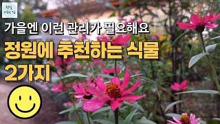 정원을 멋지게 연출하는 백리향과 옥향나무의 활용법/나리온 미니전정기