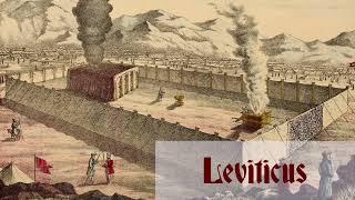 Leviticus: Chapter-by-Chapter Commentary