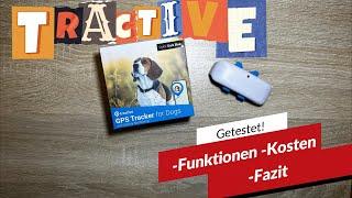 tractive GPS Hundetracker | Was kann er?/Fazit nach einigen Wochen!