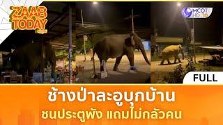 (คลิปเต็ม) ช้างป่าละอูบุกบ้าน ชนประตูพัง แถมไม่กลัวคน (13 มิ.ย. 68) | แซ่บทูเดย์