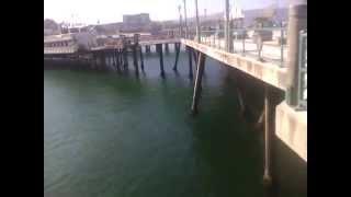 Redondo Beach Pier