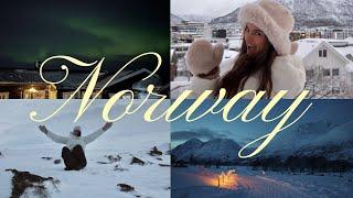 Travel Diaries: A Magical Week in Tromsø, Norway | Northern Lights, Arctic Swimming, Reindeer