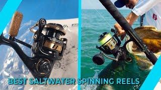 Best Saltwater Spinning Reels - Expert's Choice!