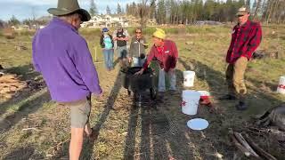 CharUniveristy - outdoor classroom