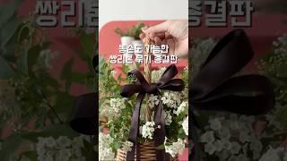 쌍리본 이제 진짜 진짜 마지막 버전