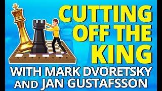 Cutting Off The King  Chess Endgames with Mark Dvoretsky and Jan Gustafsson