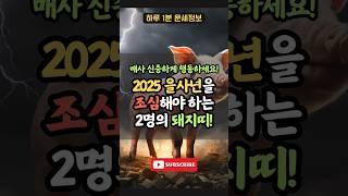 2025년의 대격변을 조심히 보내야 하는 두명의 돼지띠! #을사년 #신년운세 #운세 #돼지띠 #띠별운세 #95년생 #71년생 #사주 #삼재 #토정비결 #명언 #지식 #정보 #상식