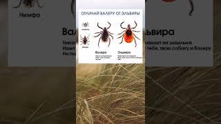  #смех #мем #юмор