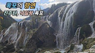 구채구 폭포의 향연 - 진주탄,낙일랑 폭포의 아름다움, 절정.