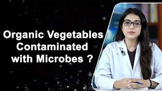 Journal Club - Organic Vegetables Contaminated  with Microbes?