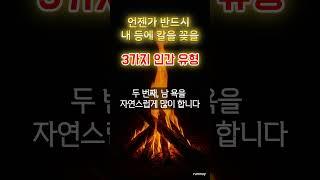 등 뒤에 칼 꽂는 인간 유형  #명언 #중년 #노년