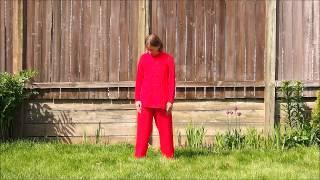 Zhong Yuan Qigong Preliminary Exercises