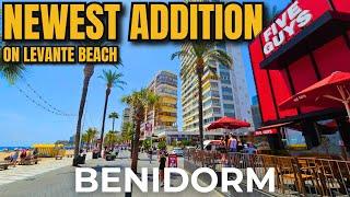 BENIDORM - *NEW* Five Guys Opens on Levante Beach