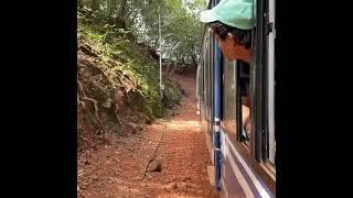 #Neral Juction To #Matheran #Hills #Train #short #song #chal chaiya chaiya