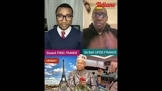 Qu'est ce que Ousmane Gaoual Diallo prépare à PARIS? Souaré FNDC France et Mr Ilo Bah UFDG précisent