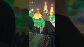 Beauty of Shia Girls 🪄 #shorts