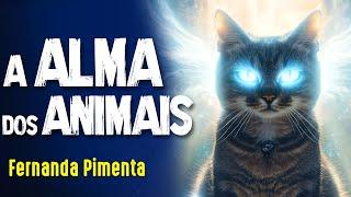 COMUNICAÇÃO com ANIMAIS "M0RT0S" - FERNANDA PIMENTA