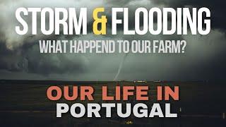 Our Land is FLOODED!  Storm Hits Portugal – Farm & Build Progress