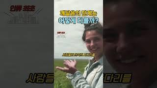  8-③ 돈오돈수 vs 돈오점수