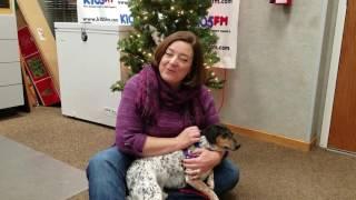 K105'S PET OF THE WEEK