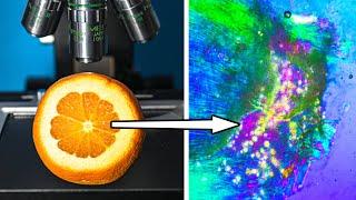 The Beauty of Orange Revealed Under Microscope