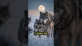 حكم وأقوال ملهمه عن واقع الحياة #حياة#حكم#أقوال#shorts#إلهام#تحفيز#كلام_من_ذهب