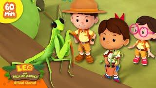 IS THAT AN ALIEN FROM MARS?!  | Interesting Insects | Leo the Wildlife Ranger | Kids Cartoon