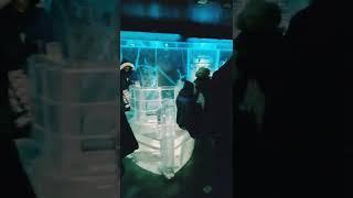 It was amazing experiences in Ice Bar