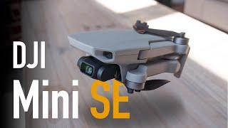 Mini SE Review: Best Budget Drone!