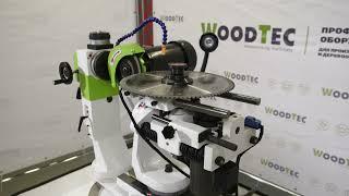 Станок для заточки дисковых пил с напайками WoodTec Sharp Disk 600A