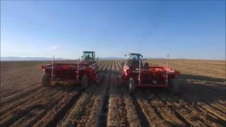 Potato Harvest Aerial Drone Footage Sly Dog Production