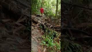 Bang Pae waterfall walking. 8K, Part 2/2.