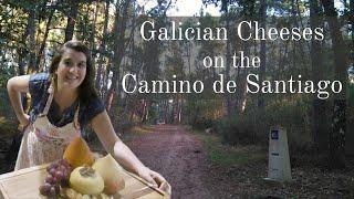 Camino 101: Galician Cheeses on the Camino de Santiago