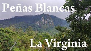 La Virginia & Peñas Blancas, Quindío (Armenia, Colombia)