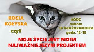 Kocia Kołyska - MOJE ŻYCIE JEST MOIM NAJWAŻNIEJSZYM PROJEKTEM