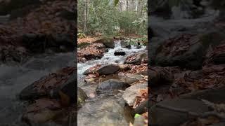 Creek in Maggie Valley NC